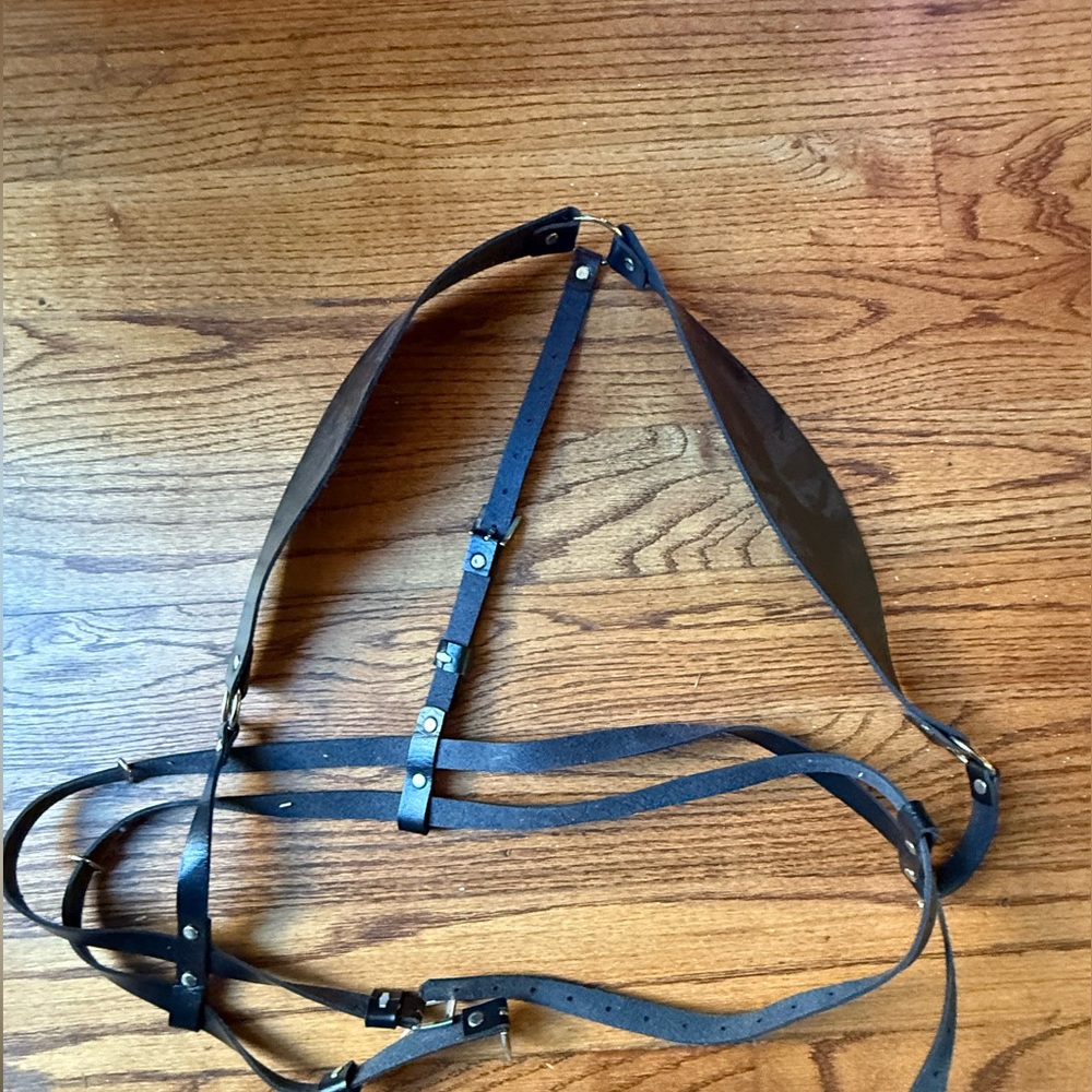 Black harness